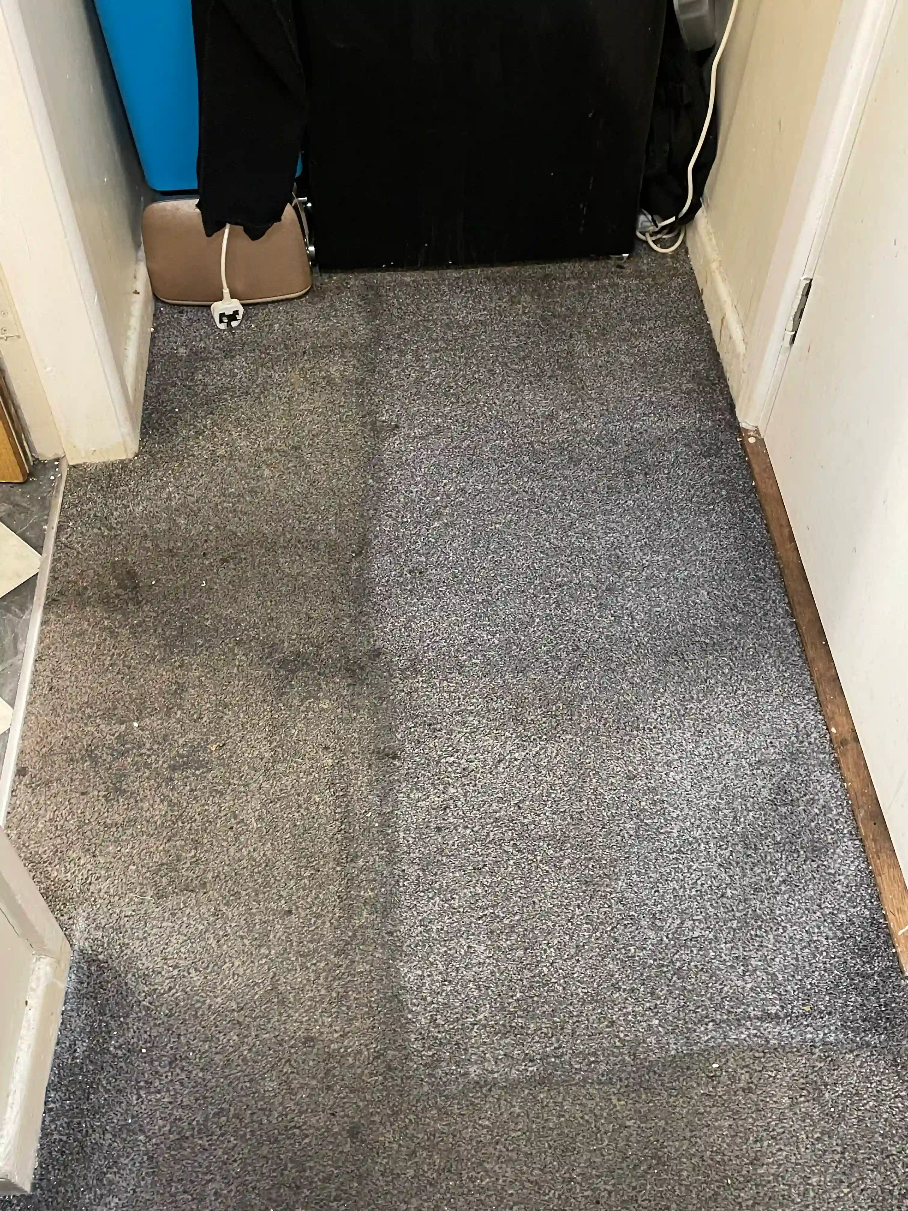 clean carpet