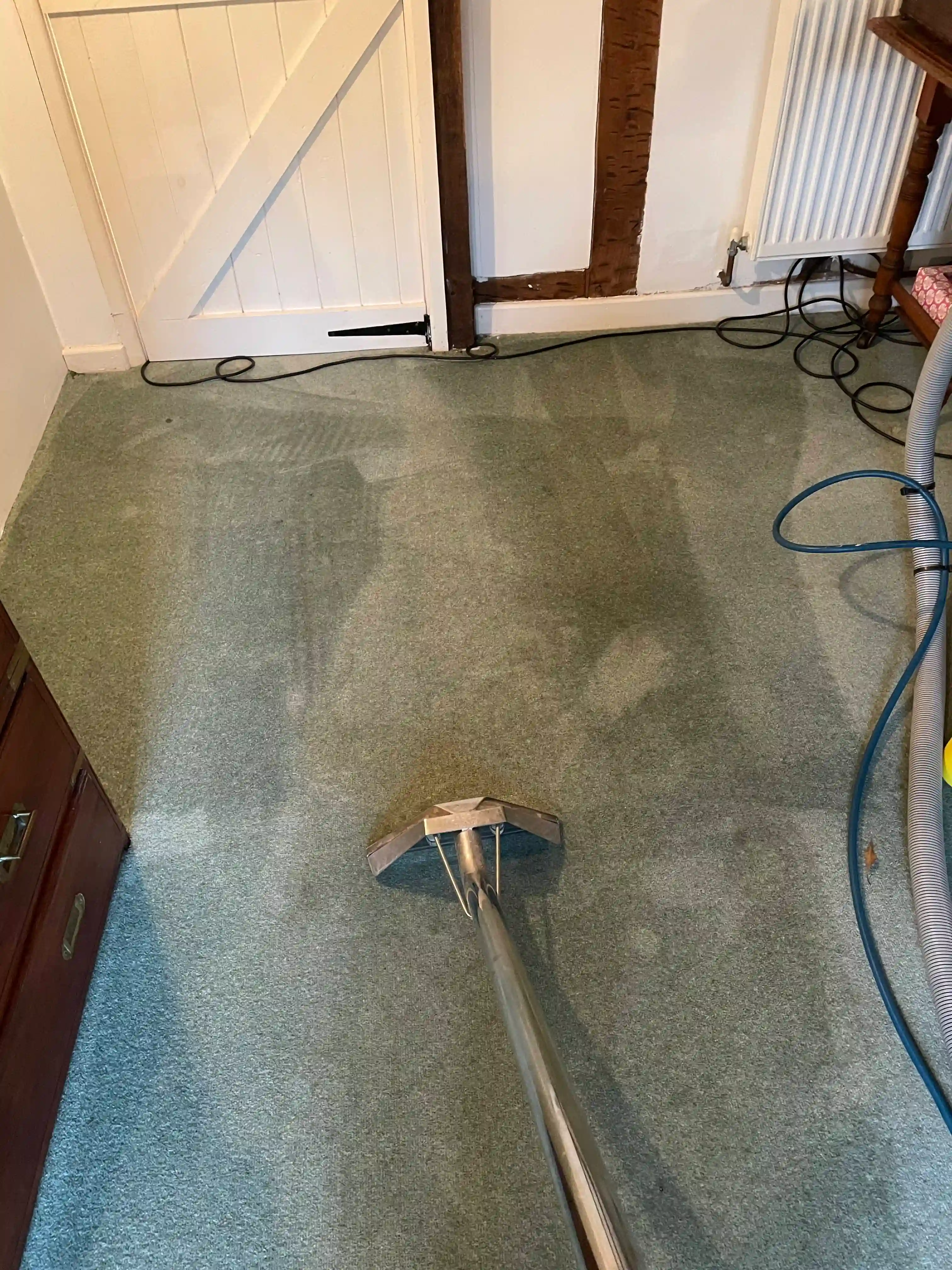 clean carpet